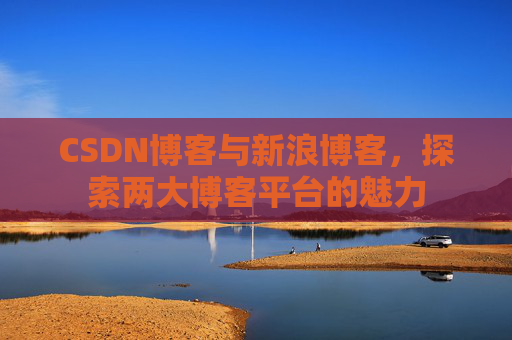CSDN博客与新浪博客，探索两大博客平台的魅力